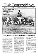 Readers React Grazing Sequel HCN Story Cover