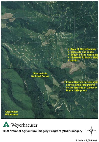 Clearview wilderness 2009