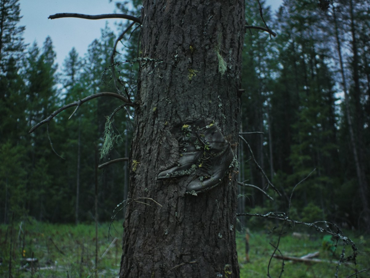 ‘Train Dreams’ is an ode to the lonely labor of forestry